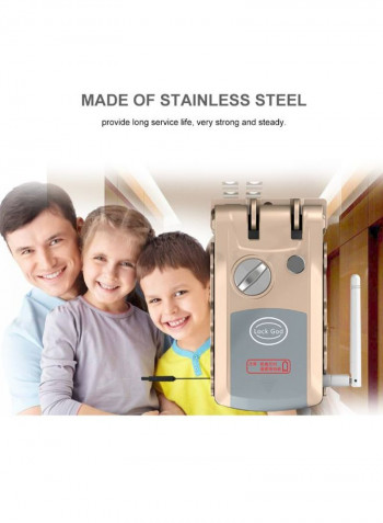 Automatic Invisible Smart Door Lock Gray/Gold