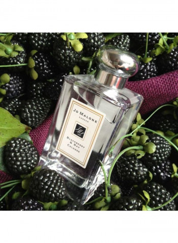 Blackberry And Bay Cologne 100ml