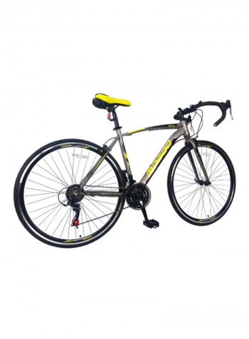 Swifter Road Bike 48cm