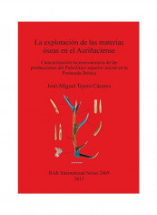 La Explotación de Las Materias Óseas En El Auriñaciense: Caracterización Tecnoeconómica de Las Producciones del Paleolítico Superior Inicial En La Pen Paperback