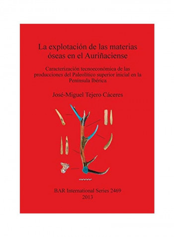 La Explotación de Las Materias Óseas En El Auriñaciense: Caracterización Tecnoeconómica de Las Producciones del Paleolítico Superior Inicial En La Pen Paperback