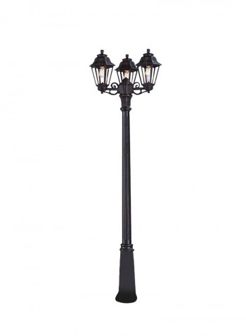 Triple Head Outdoor Floor Lamp Black 2250X560x245millimeter