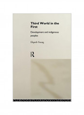 Third World In The First Paperback
