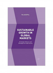 Sustainable Growth In Global Markets: Strategic Choices And Managerial Implications Paperback 1