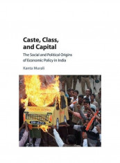 Caste, Class, And Capital: The Social And Political Origins Of Economic Policy In India Hardcover