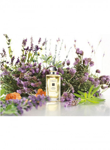 Amber And Lavender Cologne 100ml