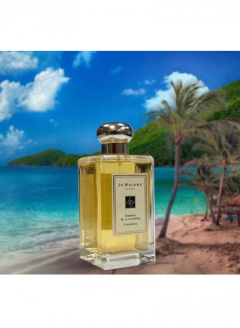 Amber And Lavender Cologne 100ml