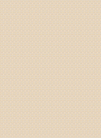 Single Sunscreen Roller Window Shade Cream 200x150cm