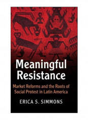 Meaningful Resistance Hardcover