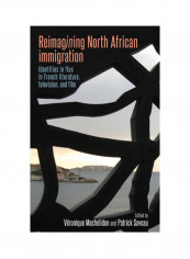 Reimagining North African Immigration: Identities In Flux In French Literature, Television, And Film Hardcover