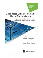 Silica-Based Organic-Inorganic Hybrid Nanomaterials Hardcover