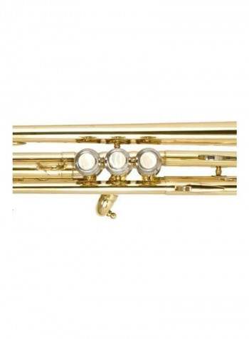Gold Trumpets with Instrument Case