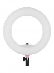 192-Piece LED Anchor Live Light Pink reviews 192-Piece LED Anchor Live Light Pink