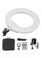 192-Piece LED Anchor Live Light White reviews 192-Piece LED Anchor Live Light White