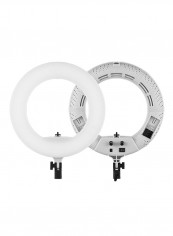 192-Piece LED Anchor Live Light White reviews 192-Piece LED Anchor Live Light White