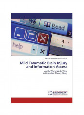 Mild Traumatic Brain Injury And Information Access Paperback