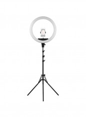 LED Ring Light With Cell Phone Holder Black/White