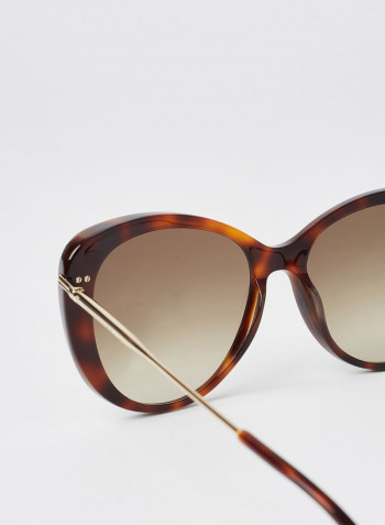 Women's Full Rim Acetate Modified Rectangle Sunglasses - Lens Size: 56 mm