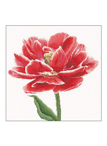 16-Piece Edged Early Tulip On Aida Cross Stitch Kit Red/White/Green
