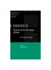 Hegel's Elements Of The Philosophy Of Right: A Critical Guide Hardcover