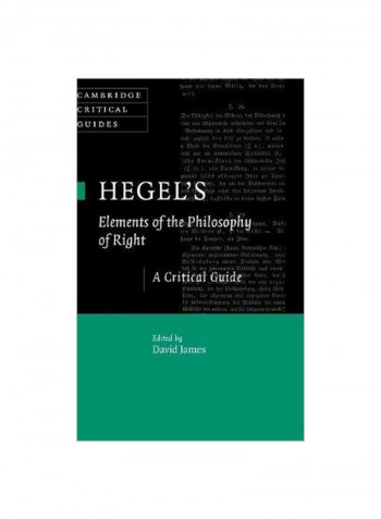 Hegel's Elements Of The Philosophy Of Right: A Critical Guide Hardcover
