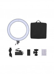 Bi-Color Digital Ring Video LED Light Set 19inch Black/Blue