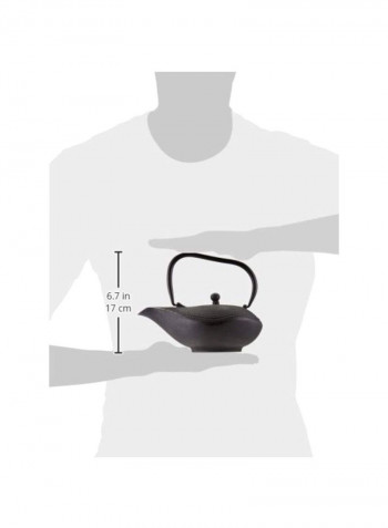 3-Piece Cast Iron Teapot And Teacup Set Black
