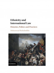Ethnicity And International Law Hardcover