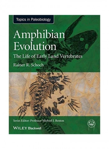 Amphibian Evolution Paperback English by Rainer R. Schoch