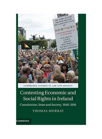 Cambridge Studies in Law and Society Hardcover