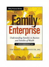 Family Enterprise: Understanding Families In Business And Families Of Wealth Hardcover