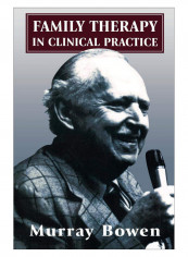 Family Therapy In Clinical Practice Paperback