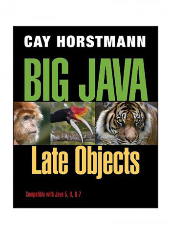 Big Java: Late Objects (Revised) Paperback