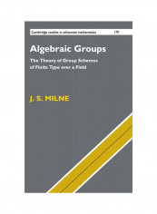 Algebraic Groups Hardcover