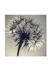 Morning Sparkles Artwork Canvas Wall Art Multicolour 24 x 24inch