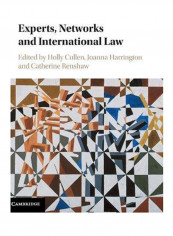 Experts, Networks And International Law Hardcover