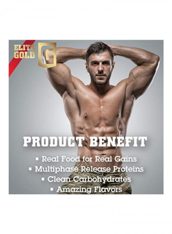 Elite Gold Annex Mass Protein Supplement