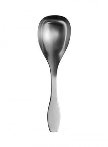 Stainless Steel Spoon Silver