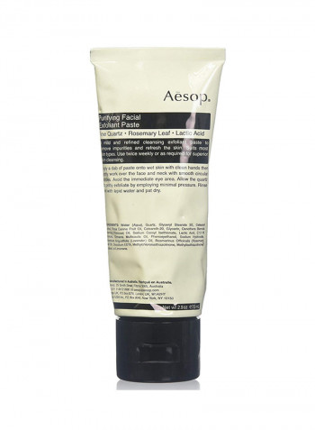 Purifying Facial Exfoliant Paste, 2.91 Ounce
