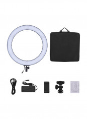 Bi-color Dimmable LED Ring Light Set 19inch Black/Blue