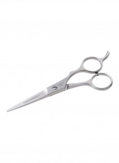 Professional Stainless 2000 Styling Shears Silver 5.5inch