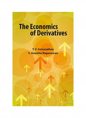 The Economics Of Derivatives Hardcover