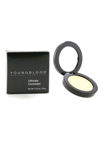 Ultimate Face Concealer Cream Medium Warm