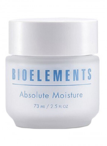 Absolute Moisture Cream 73ml