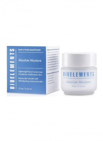 Absolute Moisture Cream 73ml