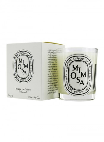 Mimosa Scented Candle White 6.5ounce