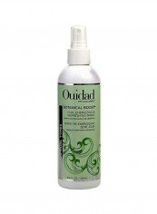 Botanical Boost Curl Energizing And Refreshing Spray 250ml