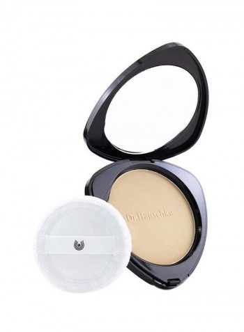 Compact Powder 02 Chestnut