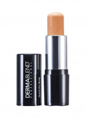 Quick Fix Body Full Coverage Foundation Stick Honey