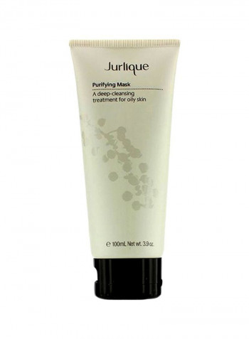 Purifying Mask 100ml